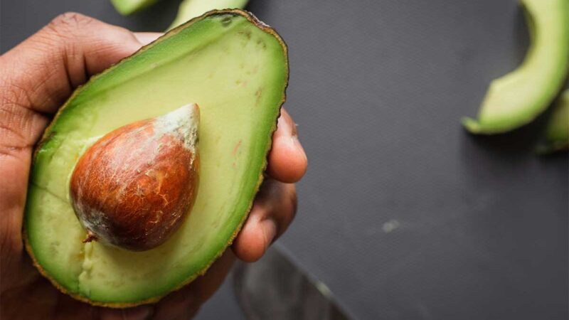 Os 5 benefícios do abacate na alimentação do diabético