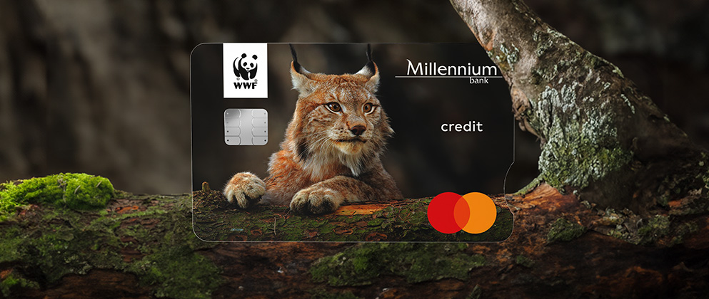 Jak uzyskać kartę kredytową Millennium WWF Mastercard Przewodnik krok po kroku